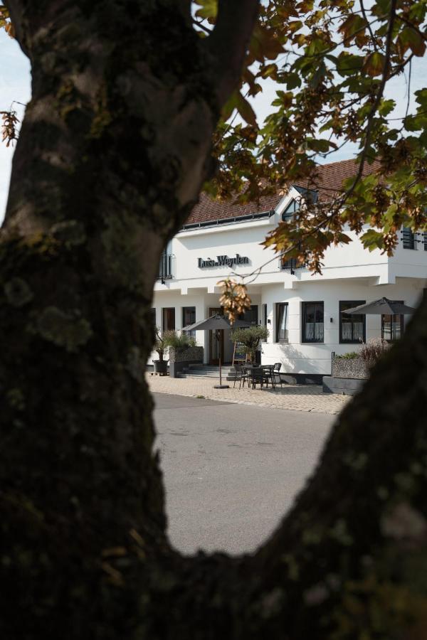 Luis Von Weyden Hotel ไวเดน อัม ซี ภายนอก รูปภาพ
